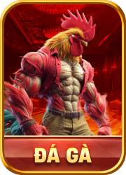 da ga u888